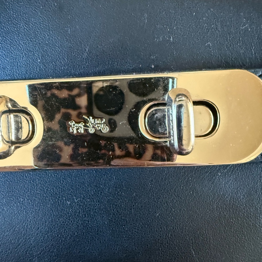 Coach 🐎 Swagger Carryall Colorblock Exotic Python 🐍 - Picture 3 of 11